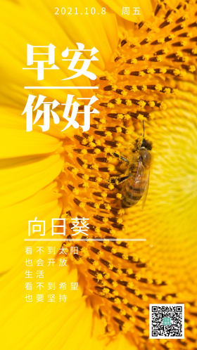 向日葵早安励志语言手机海报