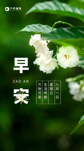 茉莉花早安问候海报