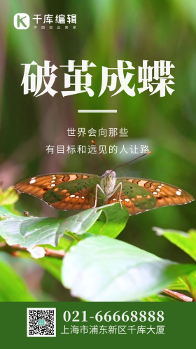 破茧成蝶励志海报