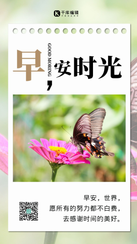 早安你好彩色蝴蝶紫色花朵花摄影图海报