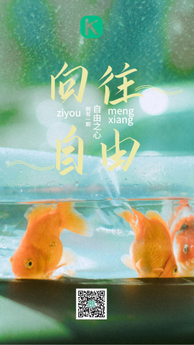 文艺图片白天三条金鱼放水的袋子里游动摄影图自由简约海报