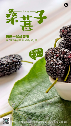 桑葚绿色宣传水果促销简约风摄影图海报