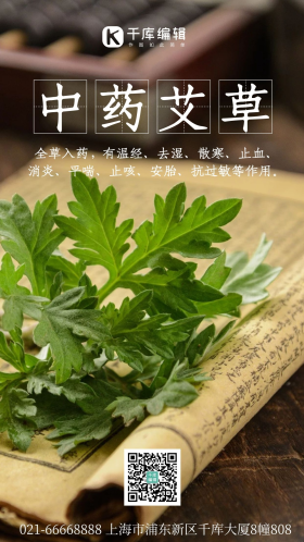 中药艾草摄影图海报