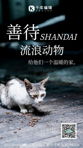 善待流浪动物摄影图海报