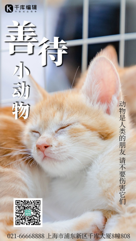 善待动物摄影图海报