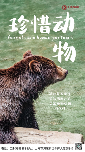 保护动物宣传图片素材-保护动物宣传模板在线设计制作-千库编辑