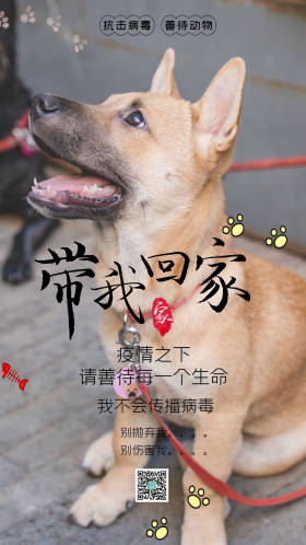 公益保护动物摄影图海报