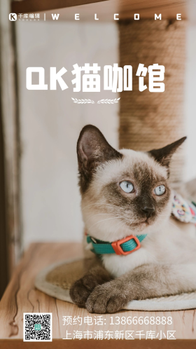 猫咖预约宣传海报