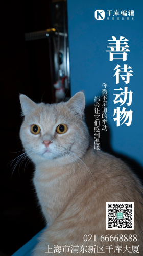 善待动物摄影图海报