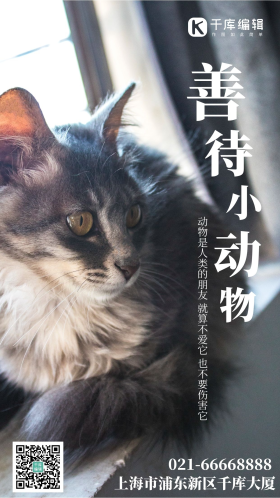 善待小动物摄影图海报