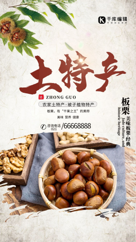 土特产板栗白色简约海报