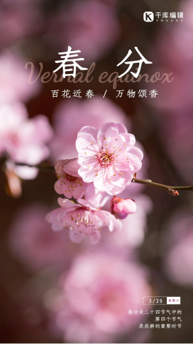 特写春天桃花花蕊粉色摄影图配图 摄影图海报 春分 节气