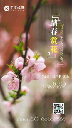 春天来临桃花特写摄影图 摄影图海报 公园赏花