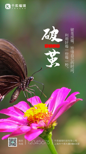 破茧成蝶昆虫蝴蝶脱变摄影图海报