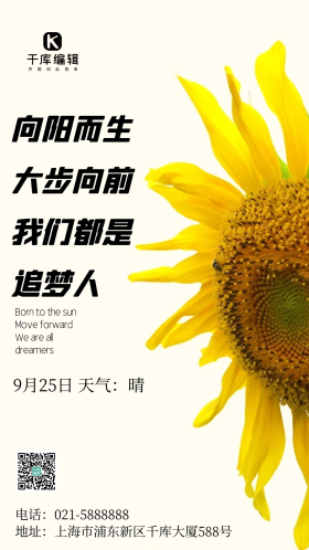 简约风摄影图向日葵励志晴摄影图海报