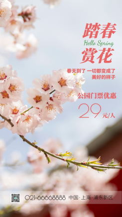 春天桃花花枝摄影图 摄影图海报 踏春