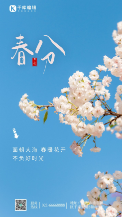 春分节气简约大气摄影图海报