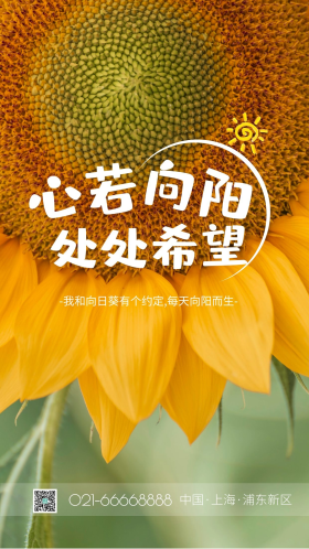 向日葵花朵摄影图 摄影图海报 励志