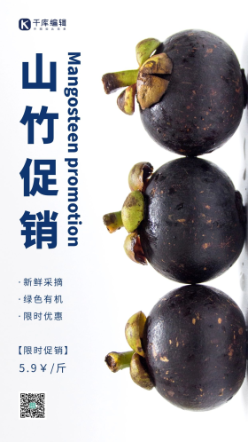简约风蓝色山竹限时促销摄影图海报