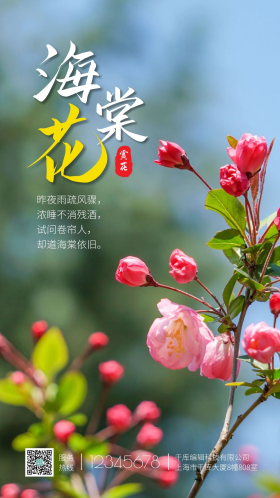 粉色海棠花微距摄影图海报