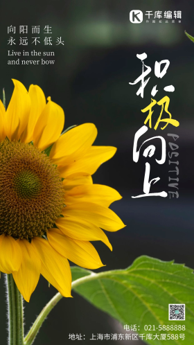 积极向上生活励志简约风摄影图海报