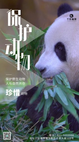 保护动物宣传绿色简约风摄影图海报