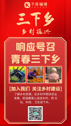 大学生三下乡响应号召红金简约手机海报
