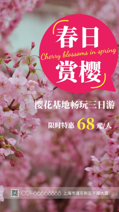 春天清新日系风樱花盛开自然风景摄影图 摄影图海报 赏花 游园 旅游 赏樱