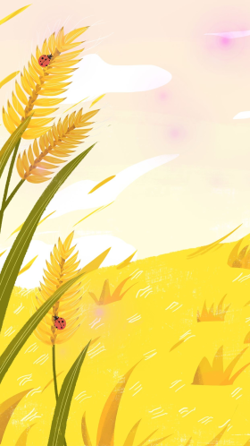 芒种黄色田野卡通风景插画手机壁纸