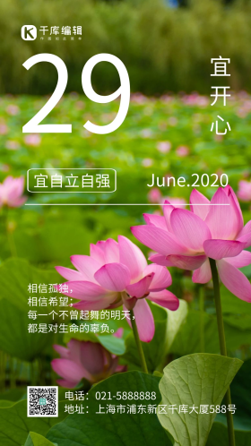 简约风摄影图荷花自强励志摄影图海报