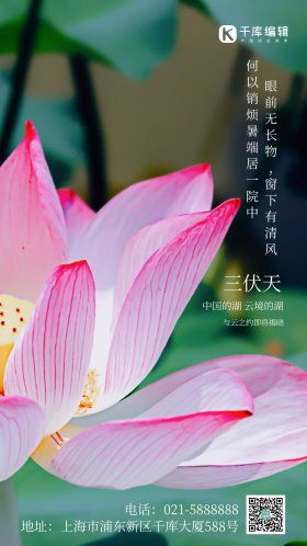 简约风摄影图传统节气出伏摄影图海报