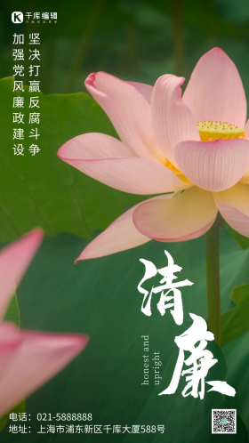 简约风摄影图清廉反腐荷花摄影图海报