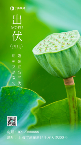 简约风摄影图莲蓬出伏文艺摄影图海报