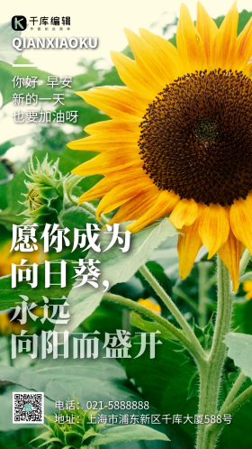 简约风摄影图向日葵向阳励志摄影图海报