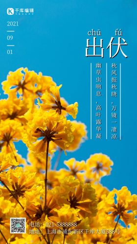 简约风摄影图出伏传统节气摄影图海报