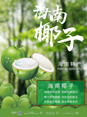海南椰子海南特产海报