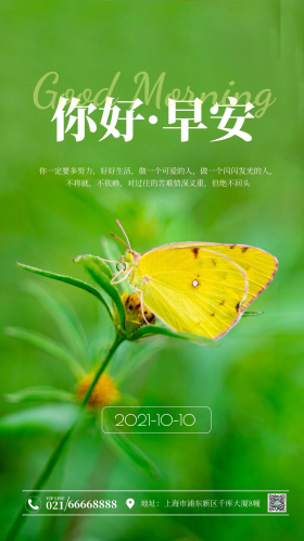野外的蝴蝶小暑黄蝴蝶农村草地停在草尖上摄影图海报 你好早安 你好