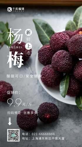 简约风杨梅上市促销摄影图海报