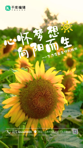 向日葵花海摄影图海报 向日葵 努力 励志 早安 加油 文艺问候