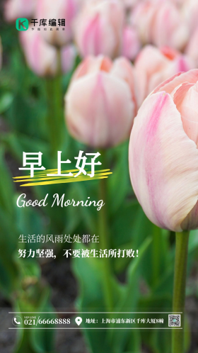 春天盛开粉色郁金香自然风景摄影图海报  早上好 早安 你好 十一月