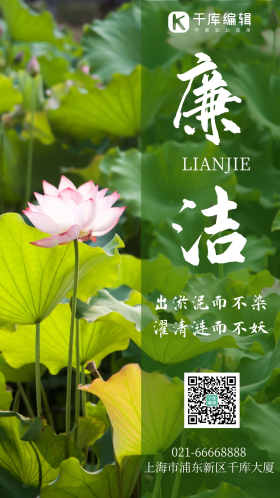 莲花出淤泥而不染廉洁摄影图海报