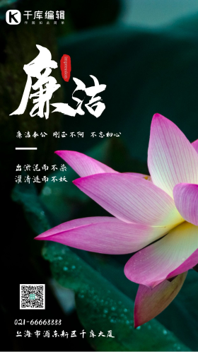 莲花出淤泥而不染廉洁摄影图海报