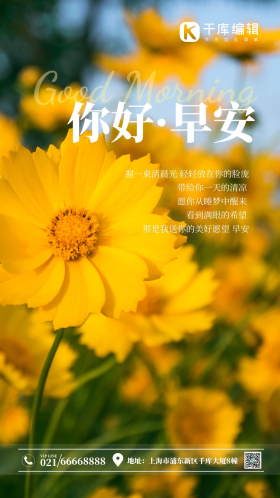 向阳花你好早安摄影图海报