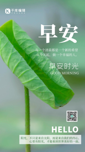 早安时光荷叶绿色简约摄影图海报