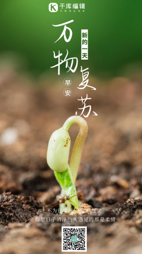 春天种子发芽摄影图海报