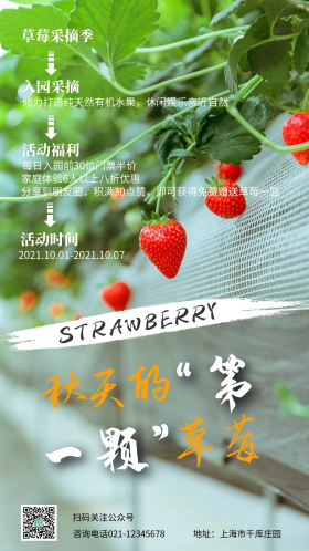 草莓采摘园促销自采简约摄影海报