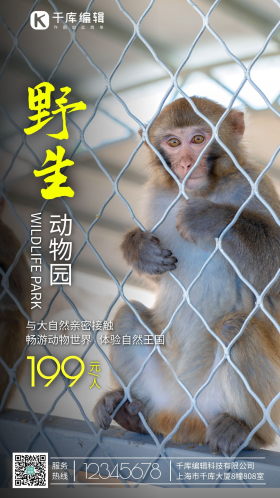 野生动物园猴子景区旅游摄影图海报