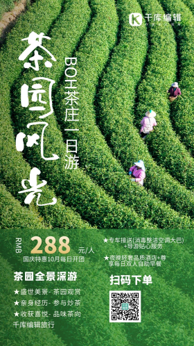 茶园风光旅游宣传绿色摄影图海报