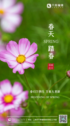 春天踏春格桑花春分花公园赏花摄影图海报