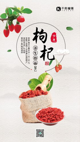 简约水墨风宁夏养生珍品特产天然枸杞海报